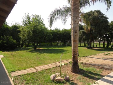 More of the Spacious Backyard!