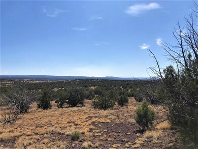 1200 W Warren Way, Ash Fork, AZ 86320 - photo 6