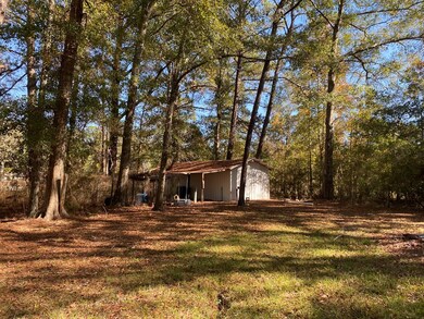 1212 Skipperville Rd, Ozark, AL 36360 - photo 2