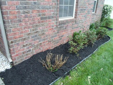 740 Taylor Way landscape