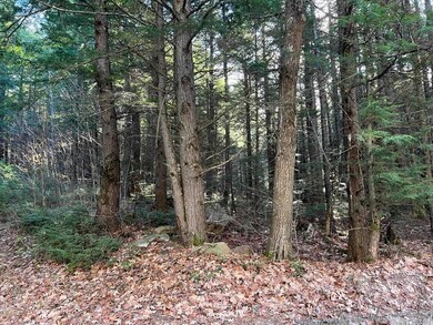 Lot 7 Hermit Woods Rd, Sanbornton, NH 03269 - photo 7