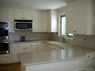 Kitchen Corian sink and counter tops