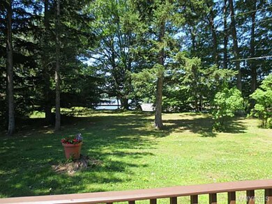 Yard View from Deck and Kitchen