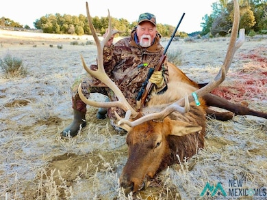 Highway 96 & 595 Hwy, Regina, NM 87017 - photo 2