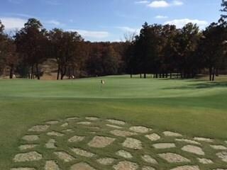 180 Roaring Fork Cir, Gordonville, TX 76245 - photo 4