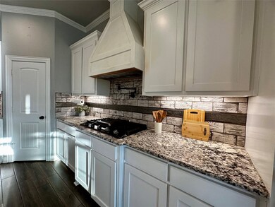 107 Rock Salt Ct, Springtown, TX 76082 - photo 6