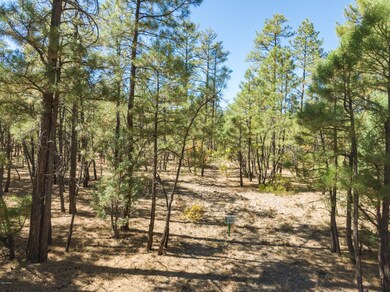 1840 S Bristlecone Dr, Show Low, AZ 85901 - photo 4