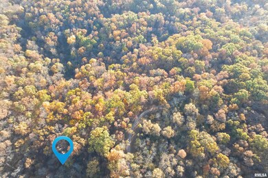 1924 Suchman Rd, Ava, IL 62907 - photo 6