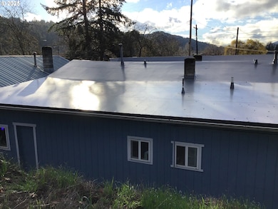 312 SE Front St, Oakland, OR 97462 - photo 6