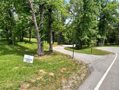 0 Anchor Bend Dr unit RTC2904354, Rock Island, TN 38581 - photo 3