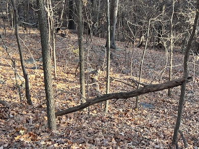 0 Vinita Cir unit 24-1384, Monkey Island, OK 74331 - photo 4