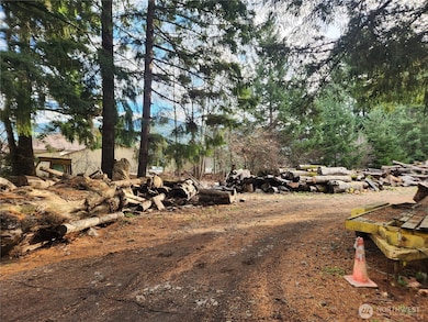 125 Edmonds Rd, Packwood, WA 98361 - photo 3