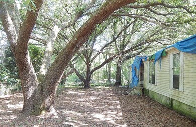 4048 Osceola Trail, Middleburg, FL 32068 - photo 4