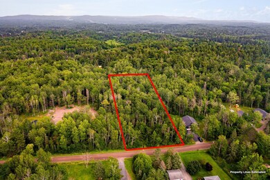 XX Torma Rd, Esko, MN 55733 - photo 6