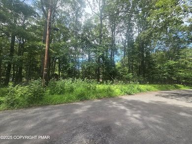 L-30-36 Elmhurst Rd, Middle Smithfield Township, PA 18302 - photo 3