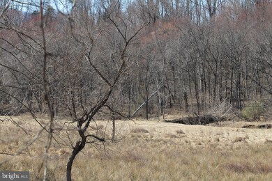 0 Slate Mills Rd unit VARP106142, Sperryville, VA 22740 - photo 3