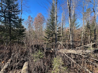 ON Heart Lake Rd, Conover, WI 54519 - photo 5