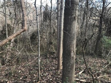 12 Acres Scotts Creek Rd, Statesville, NC 28625 - photo 4