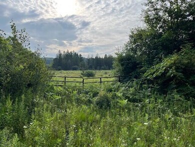 264 S 152nd Ave unit 20 Acres Vacant La, Shelby, MI 49455 - photo 3