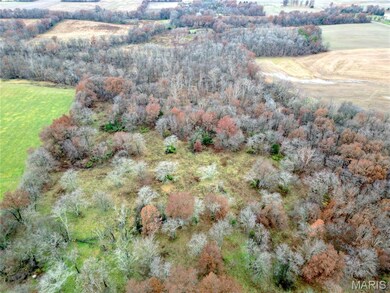 00 Pyrite Dr, Bible Grove, IL 62858 - photo 2