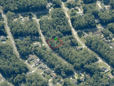 1926 W Rolling Place, Citrus Springs, FL 34434 - photo 5