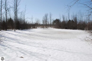0 Alabaster Rd, Tawas City, MI 48763 - photo 5
