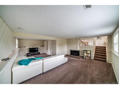 Basement Family Room