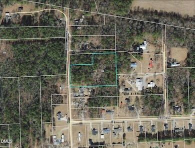 150 Russell Hogan Ln, Coats, NC 27521 - photo 2