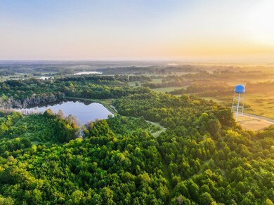 0 Bill Dexter Rd unit LotWP001 24537982, West Point, MS 39773 - photo 3