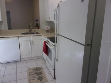 3291 Hibiscus Dr, Palm Harbor, FL 34684 - photo 6