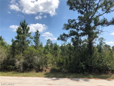 3415 58th St W, Lehigh Acres, FL 33971 - photo 2