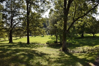 234 County Road 102, Oxford, MS 38655 - photo 6