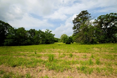 938 Jones Rd, New Waverly, TX 77358 - photo 4