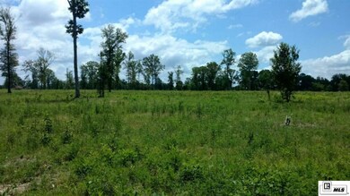 0 Louisiana 139 unit Tract 6, Monroe, LA 71203 - photo 2