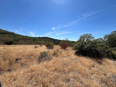 0 Dunn Moody Rd, Round Mountain, CA 96084 - photo 5