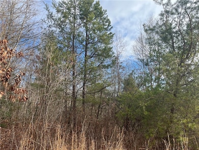 View from Davidian Way side of the 3.41 acres