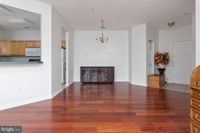 2404 Chestnut Terrace Ct unit 101, Odenton, MD 21113 - photo 3