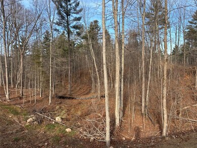 Lot 42 Ursa Rd, Hayward, WI 54843 - photo 4
