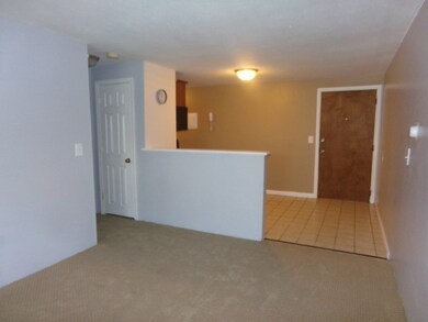 381 Hildreth St unit 208, Lowell, MA 01850 - photo 2