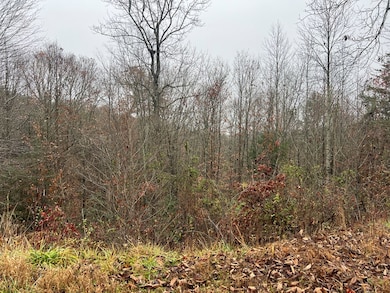 4353 Sandy Ridge Rd, Campton, KY 41301 - photo 3