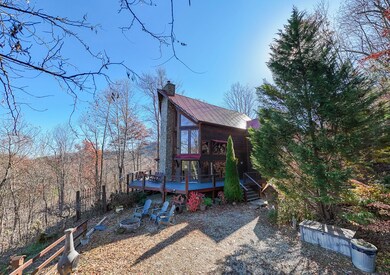 520 Whiteside Gap Rd, Robbinsville, NC 28771 - photo 4