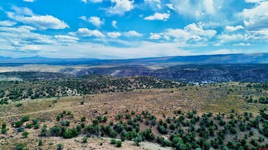 Lot 1 Dd Rd, Naturita, CO 81422 - photo 7