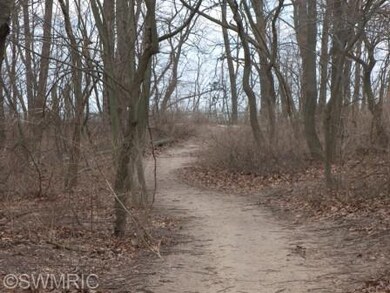 10367 Randall Ave, New Buffalo Township, MI 49129 - photo 3