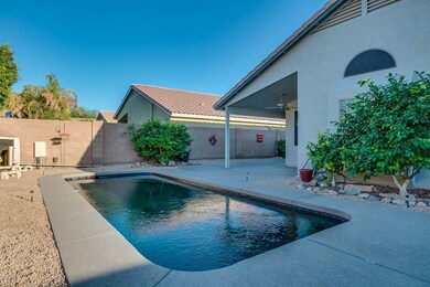 Pebble Tech Pool