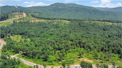 0 Oak Park Dr, Talking Rock, GA 30175 - photo 3