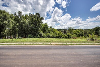 138 Kanutsu Ln, Loudon, TN 37774 - photo 2