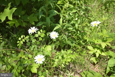0 Ccc Rd unit VAWR142660, Linden, VA 22642 - photo 7