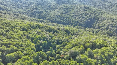 DJI_0239