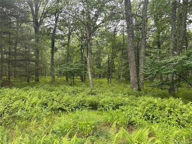 0 Black Forest Rd unit KEY909722, Lumberland, NY 12737 - photo 4