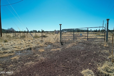 Front Gate